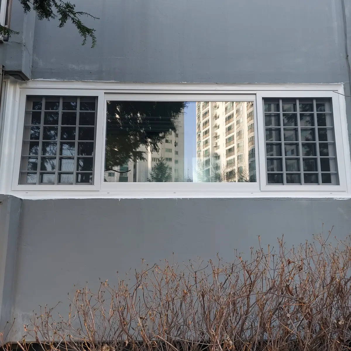 이미지 4
