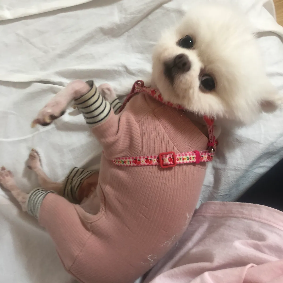 이미지 3