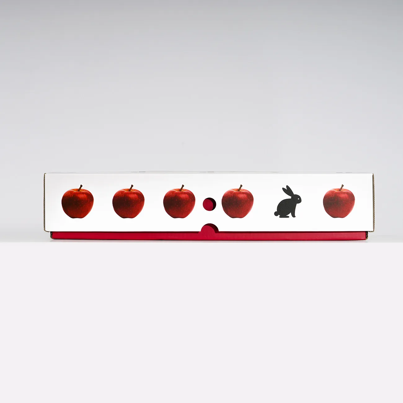 이미지 7