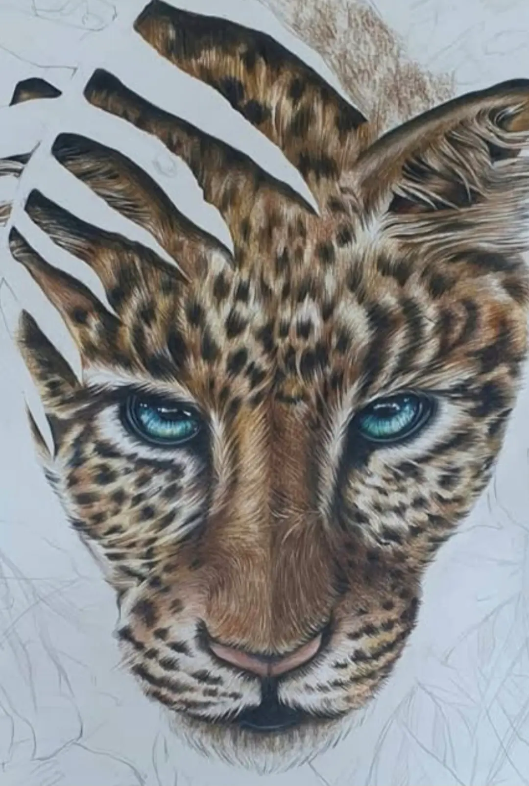 포트폴리오 이미지