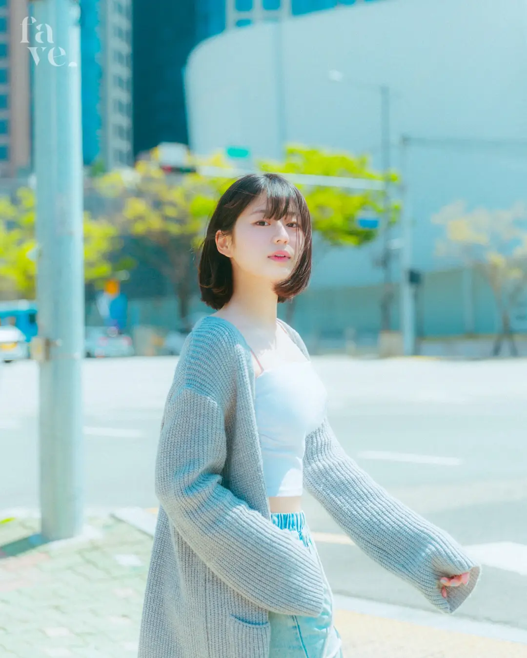 이미지 16