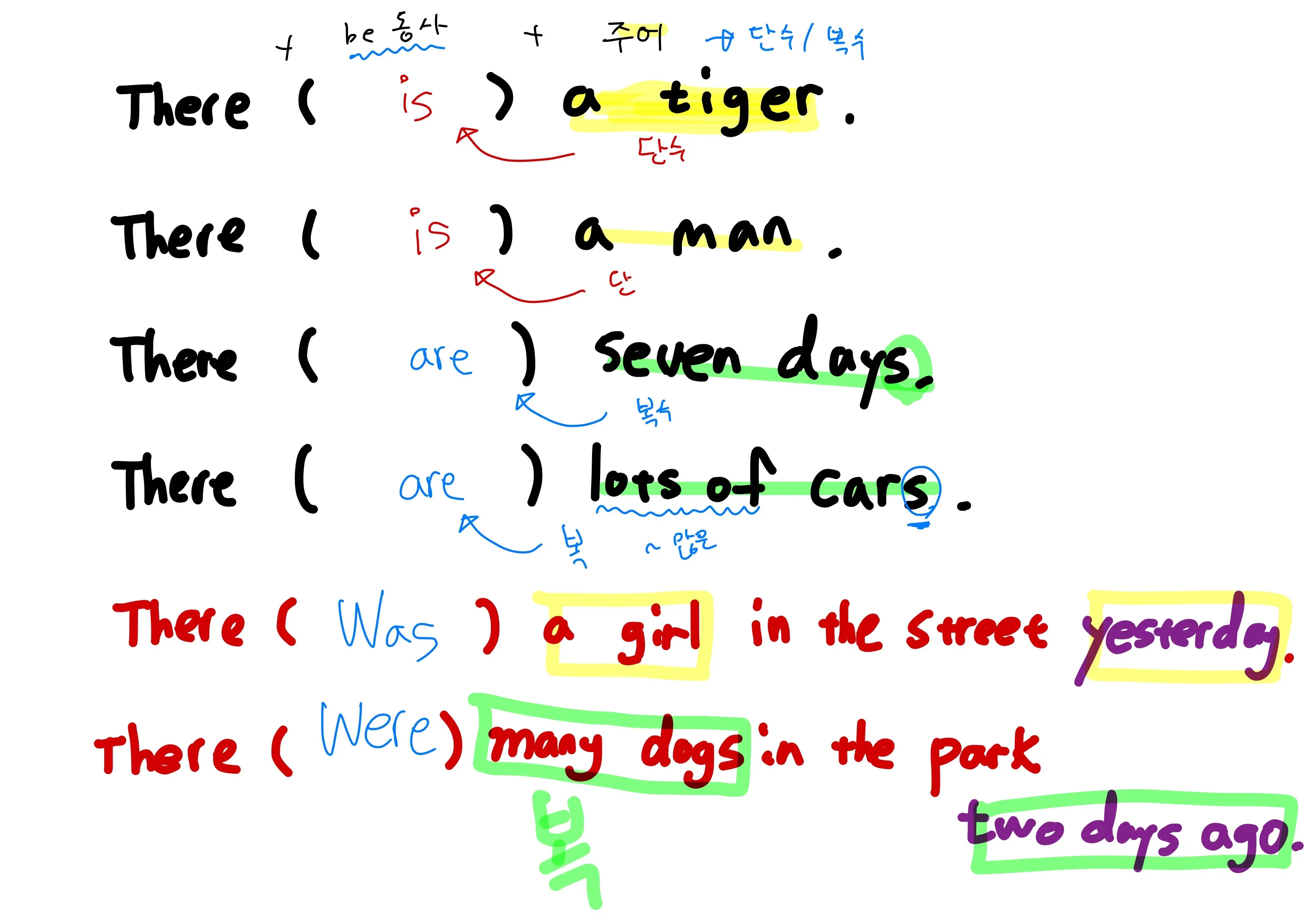 이미지 8