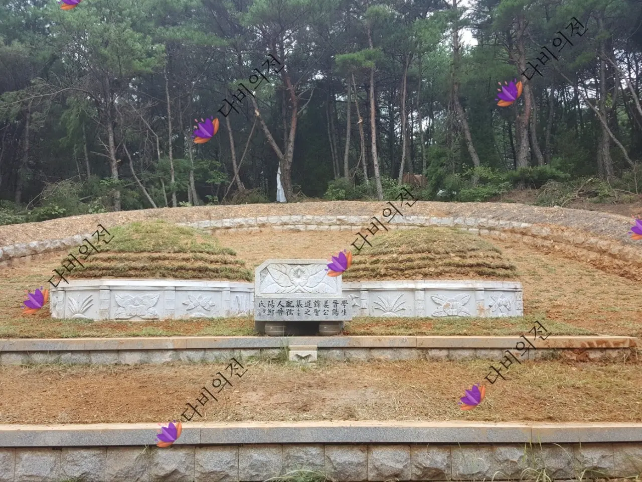 이미지 5