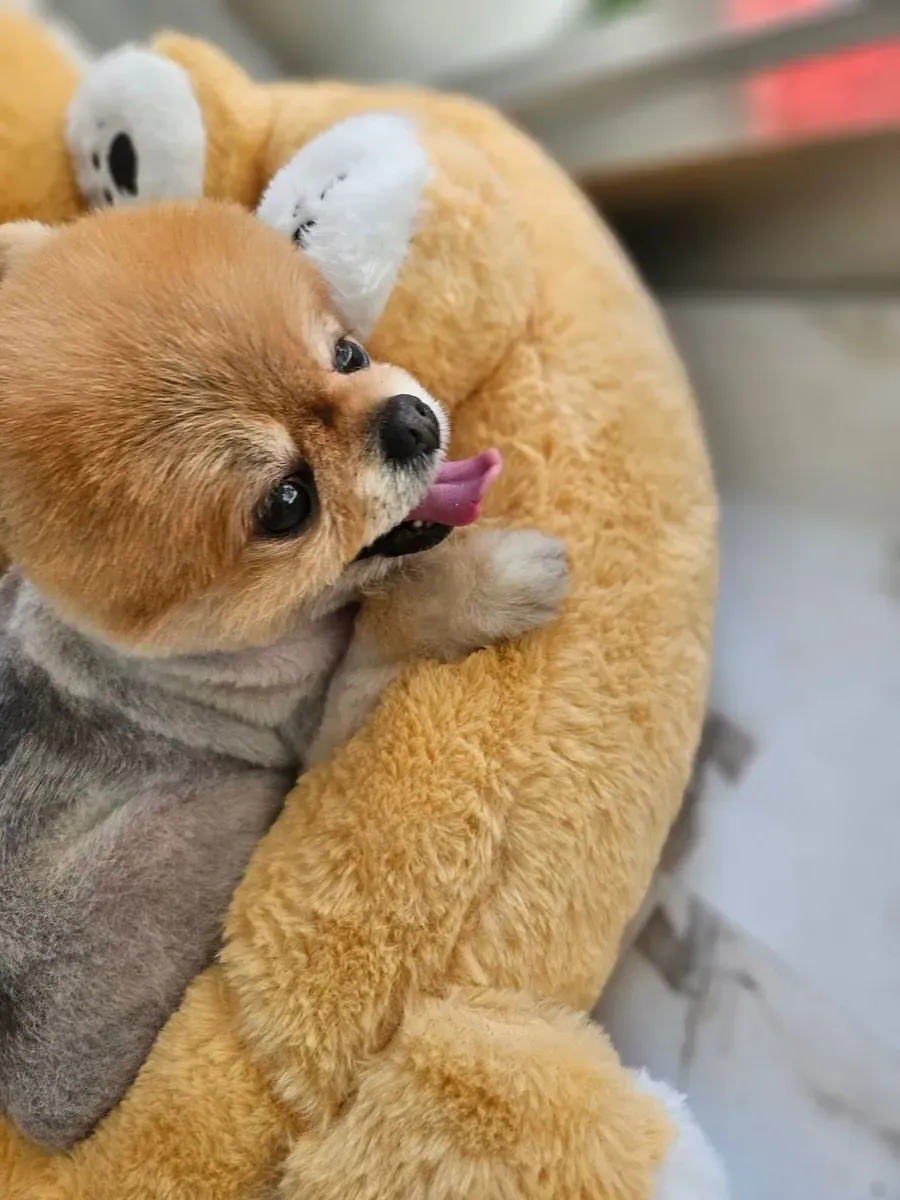 이미지 24