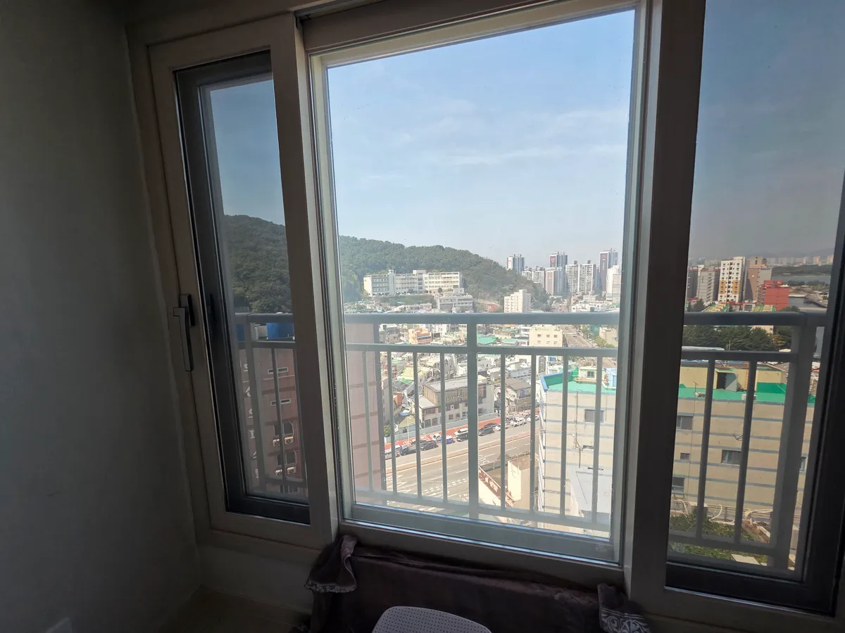 이미지 12