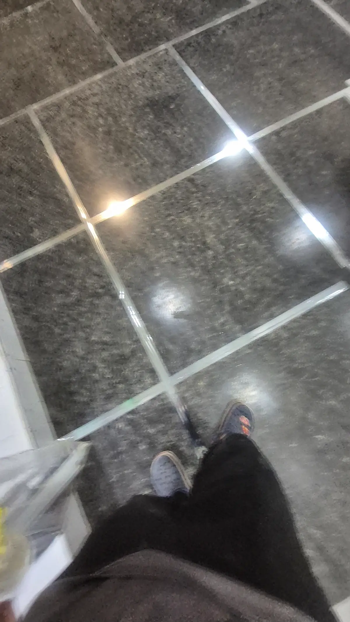 이미지 11