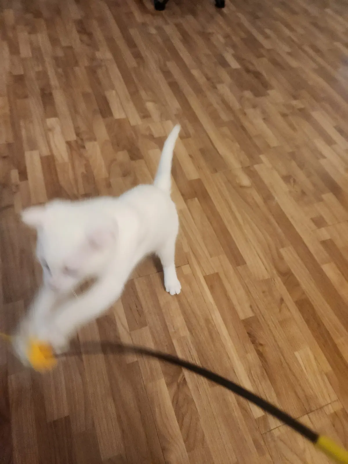 이미지 7