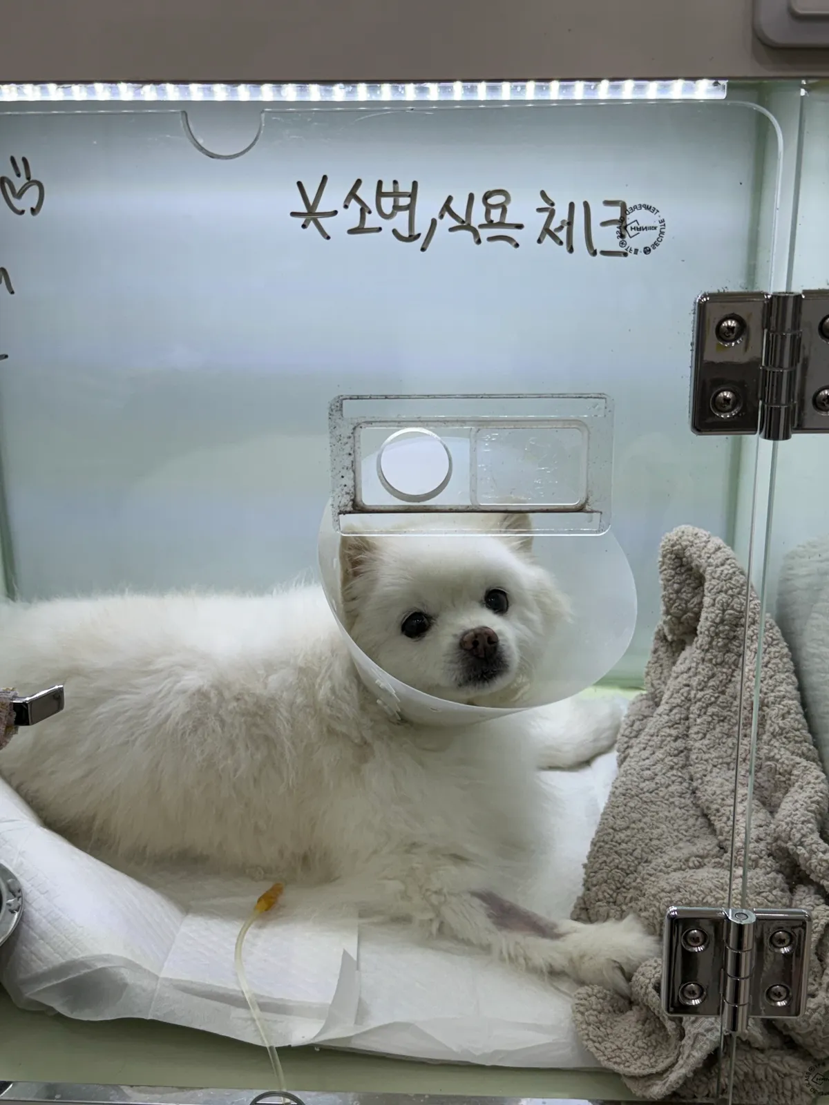 이미지 4