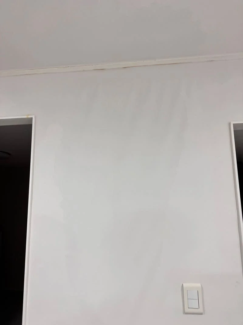 이미지 6