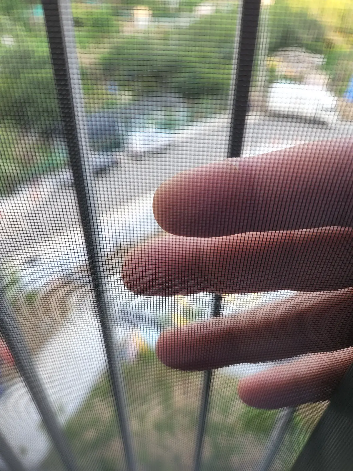 이미지 5