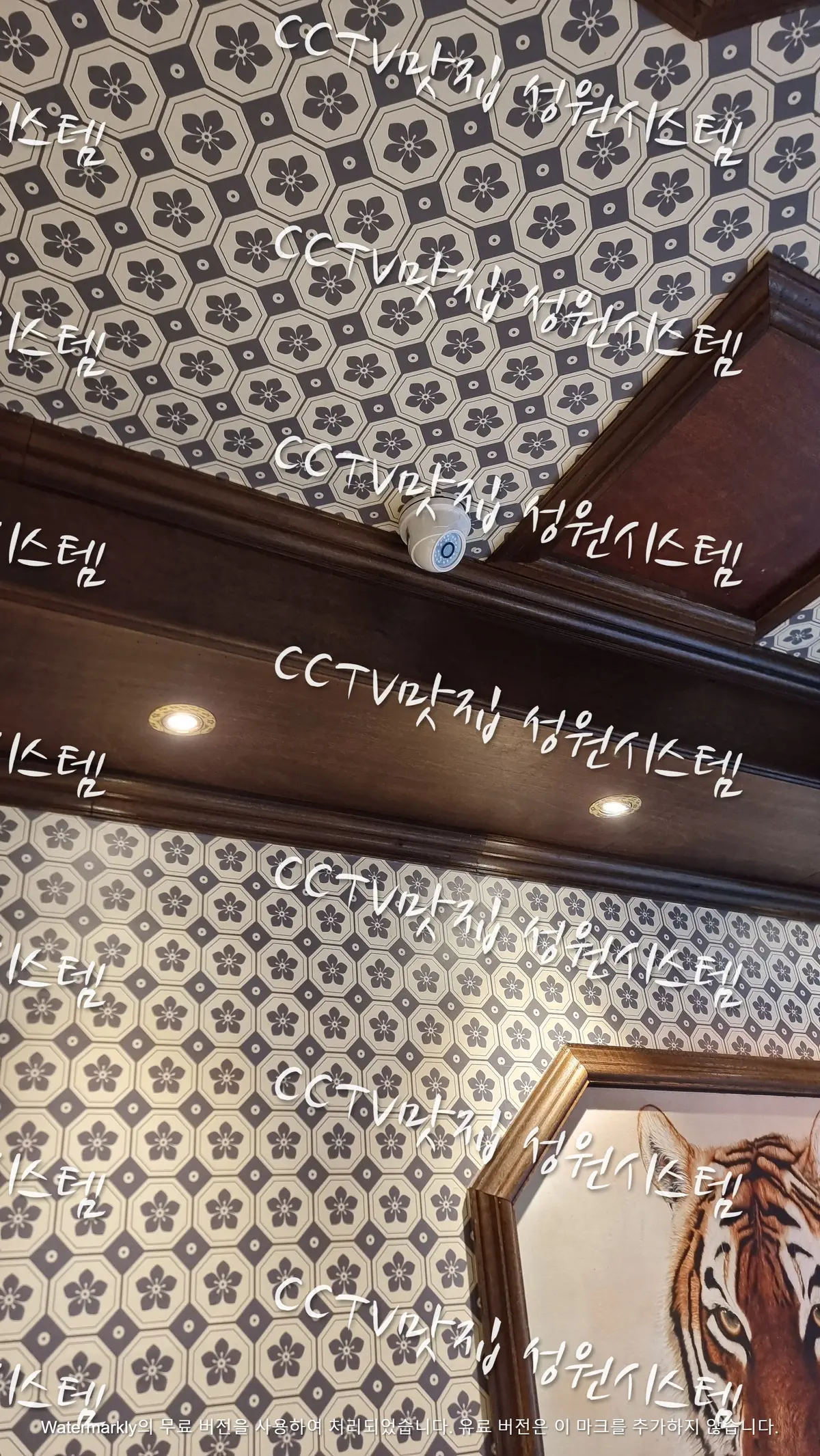 이미지 5