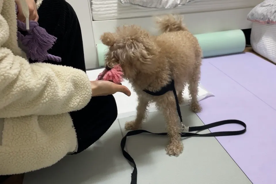 이미지 6