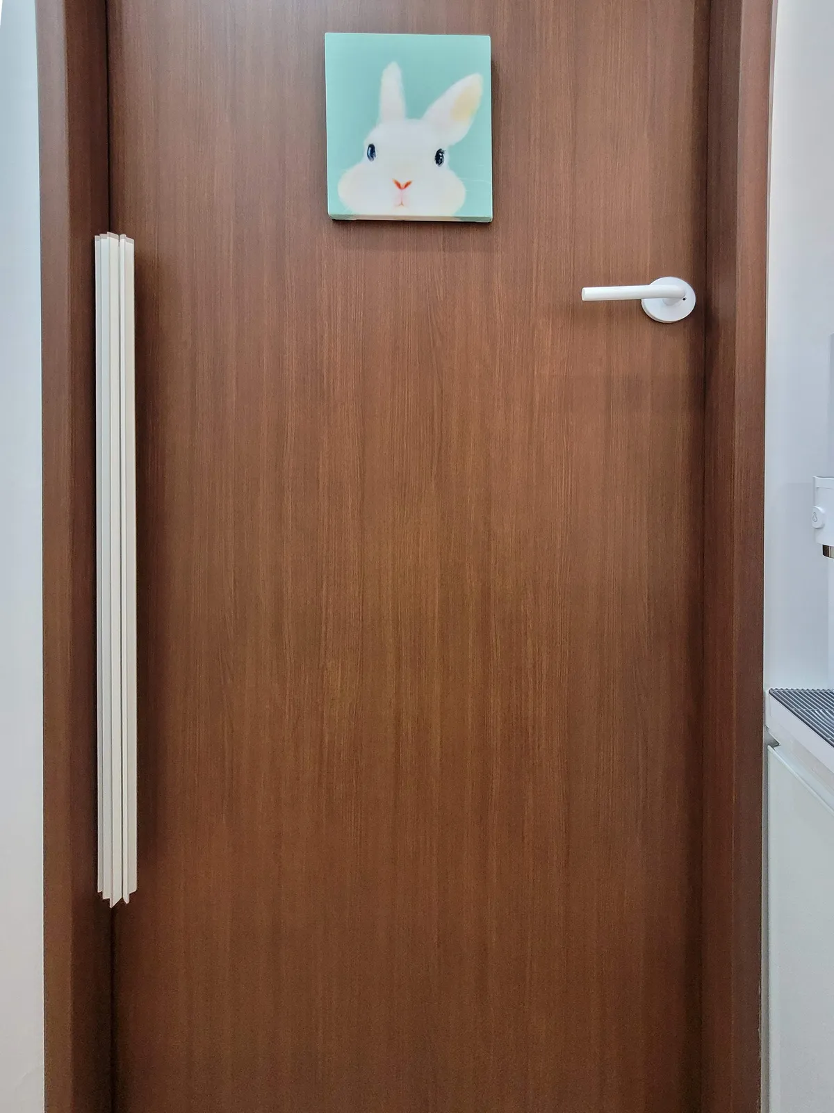 이미지 7