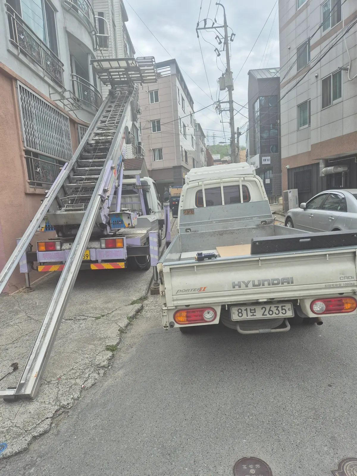 이미지 5