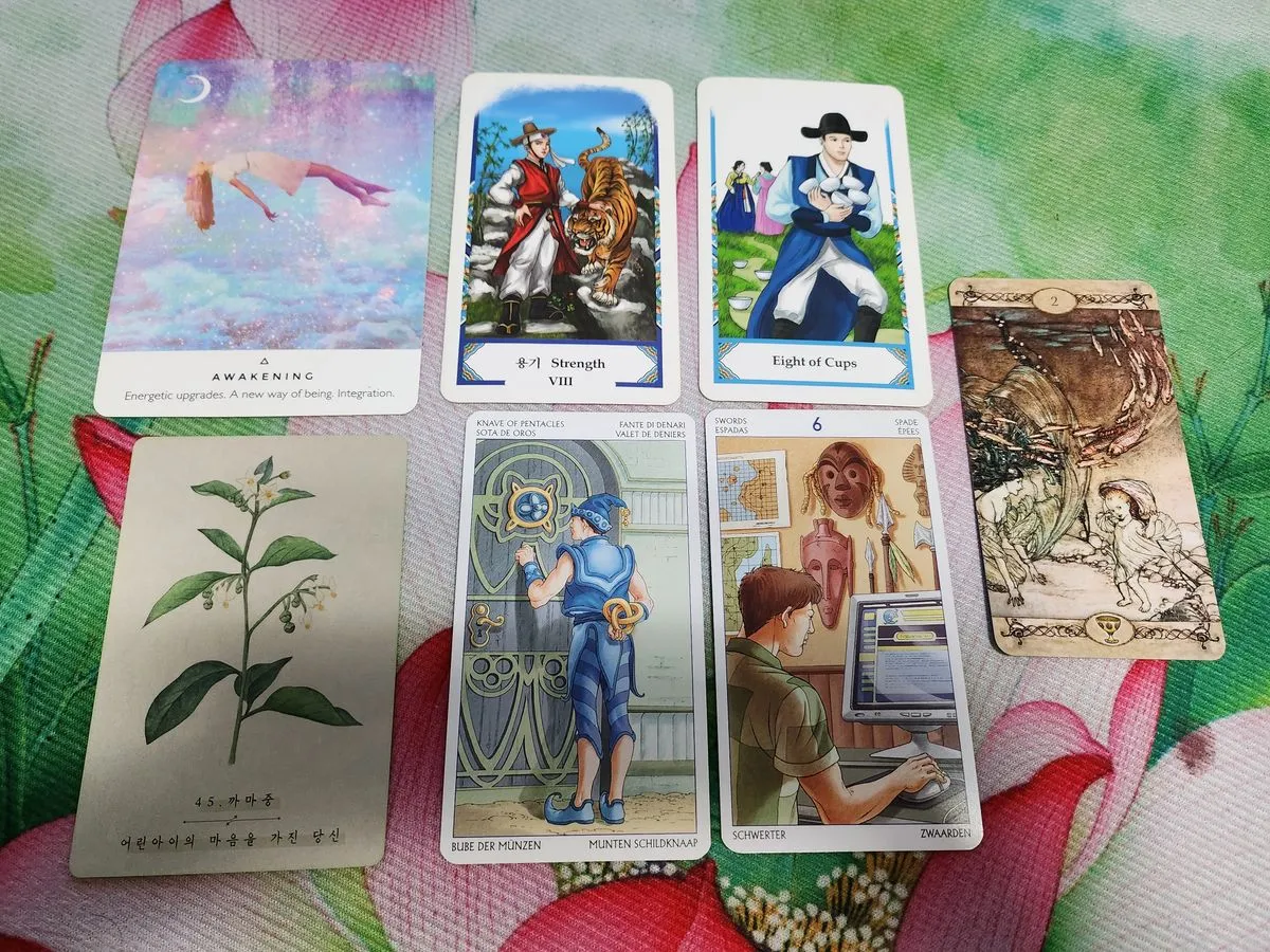 포트폴리오 이미지