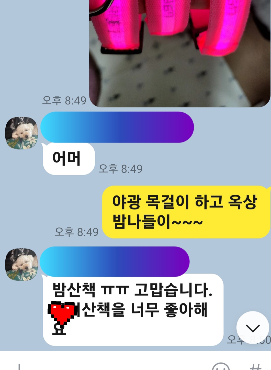 이미지 11
