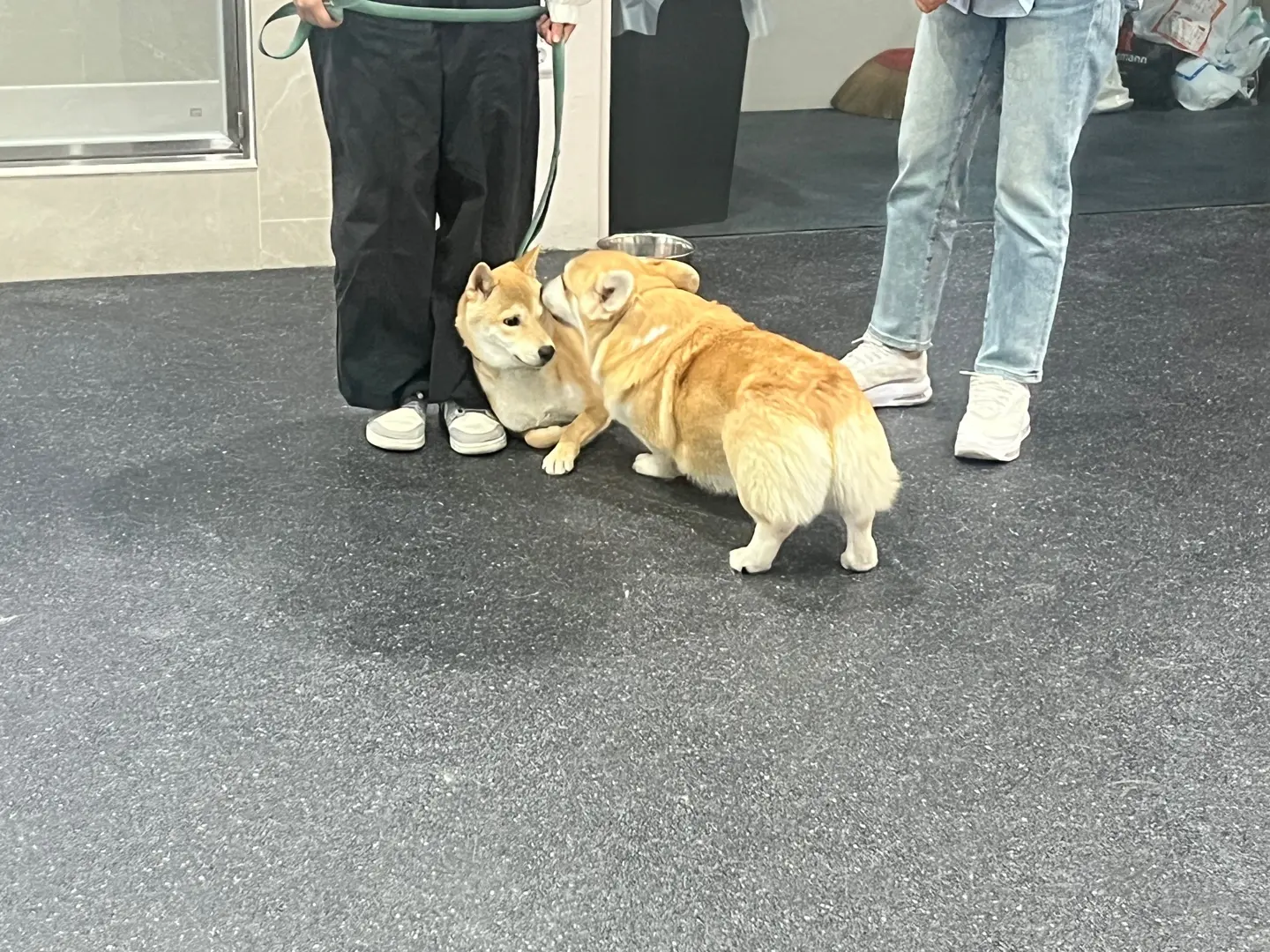 이미지 9