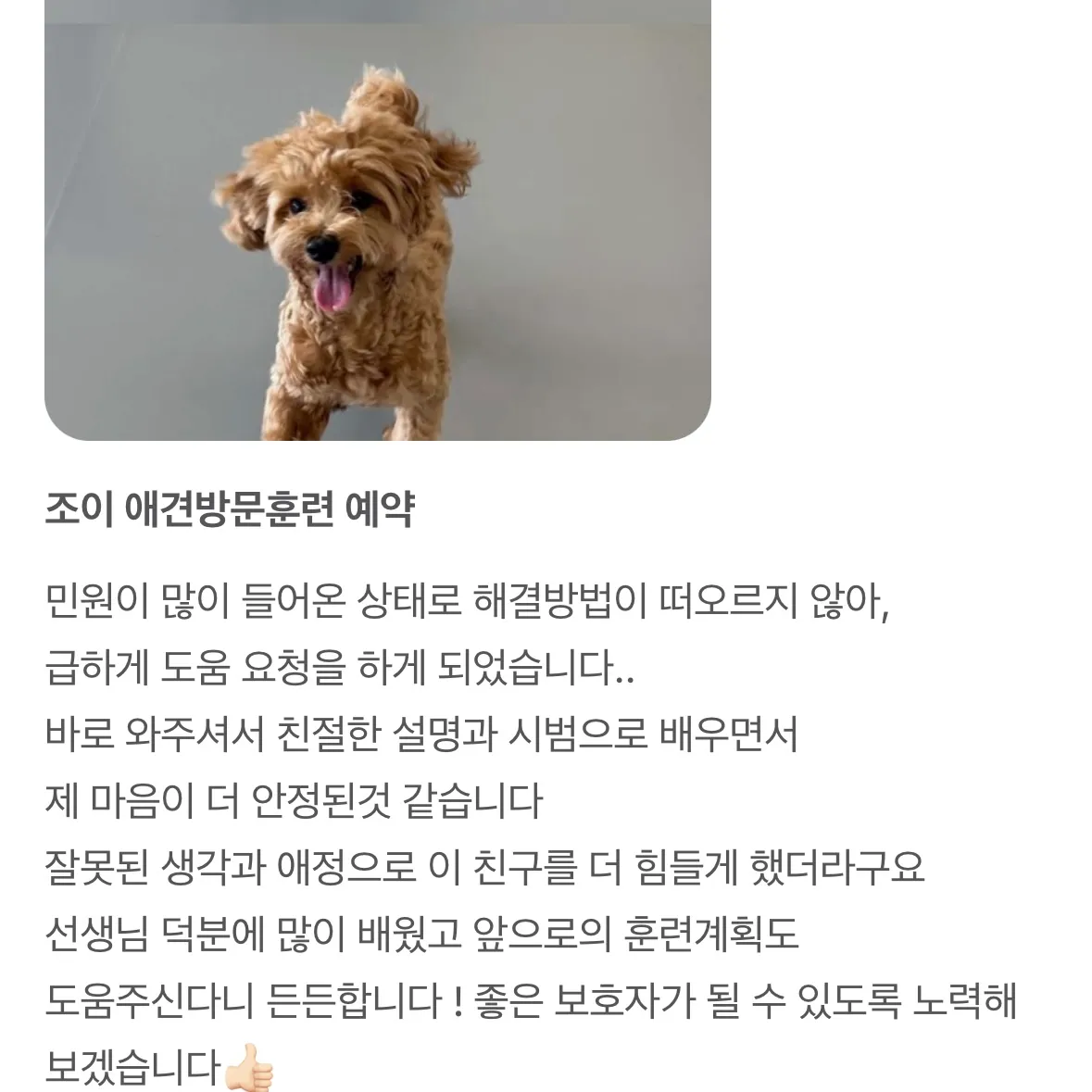 이미지 5
