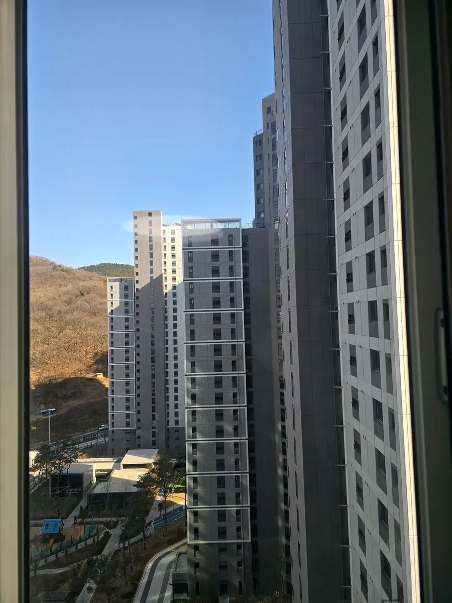 이미지 10