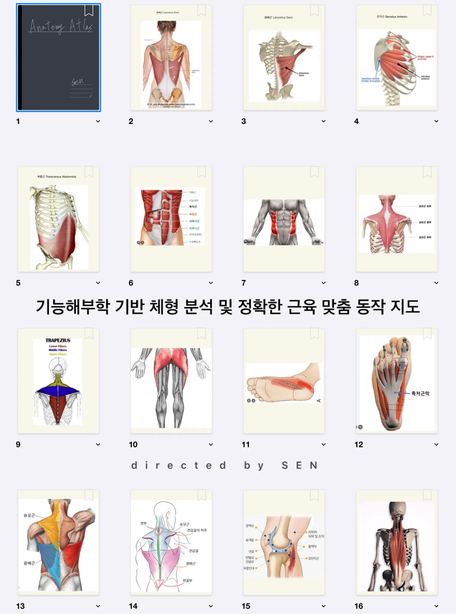 이미지 6