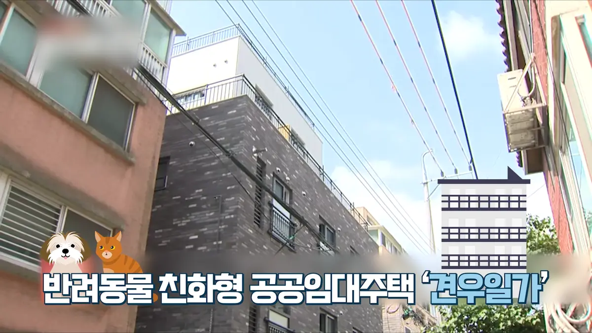 이미지 7