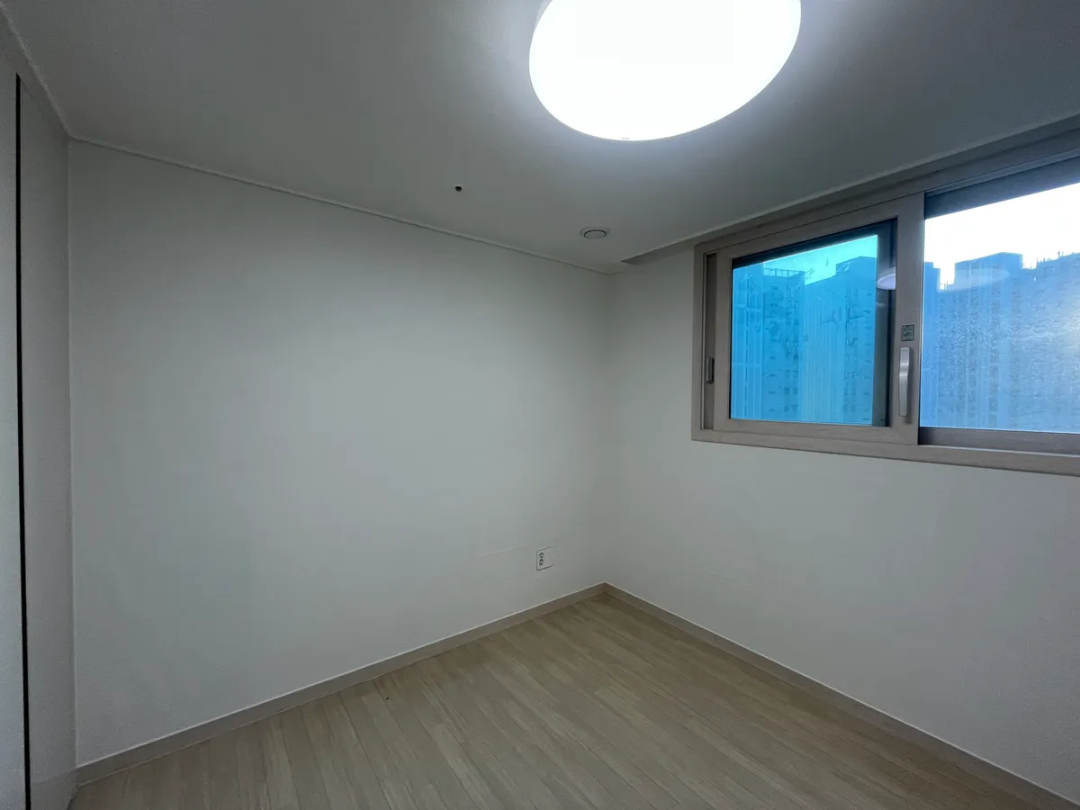 이미지 8