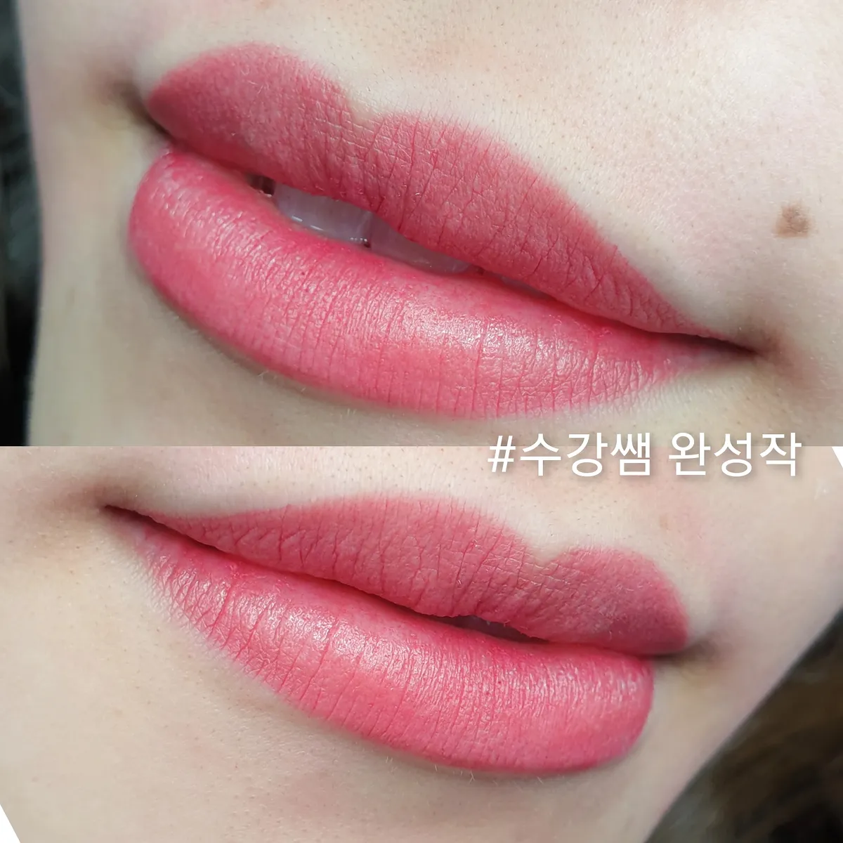 이미지 5