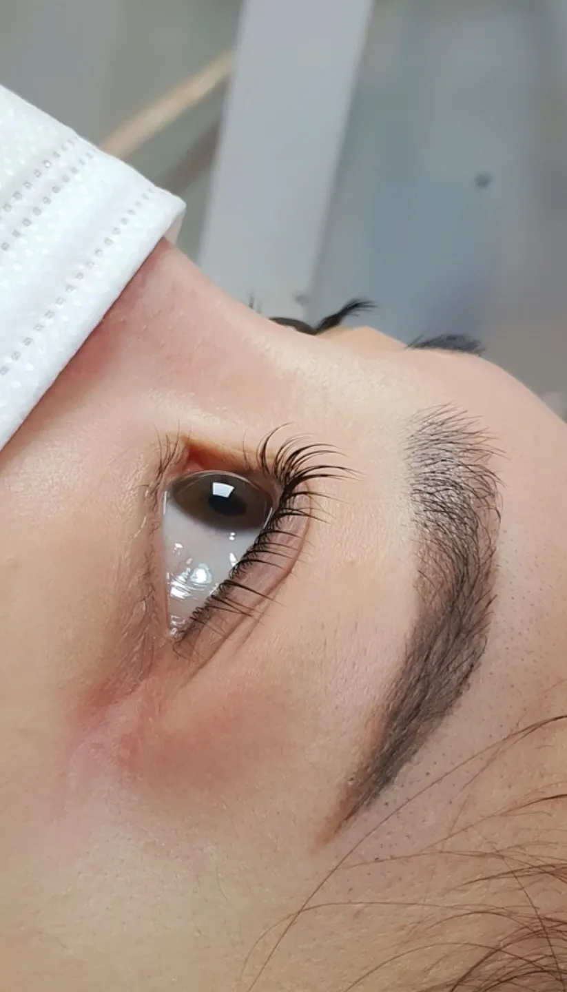 이미지 8