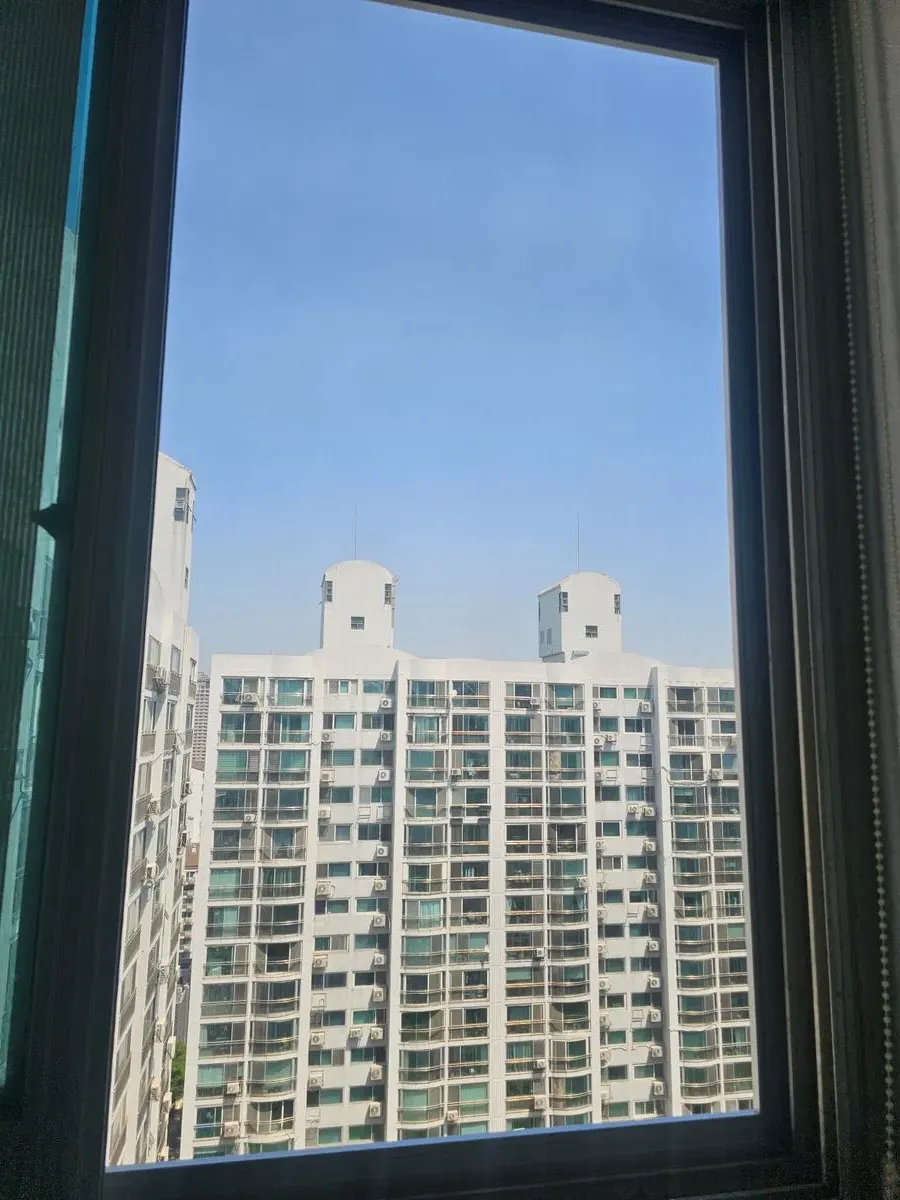 이미지 8