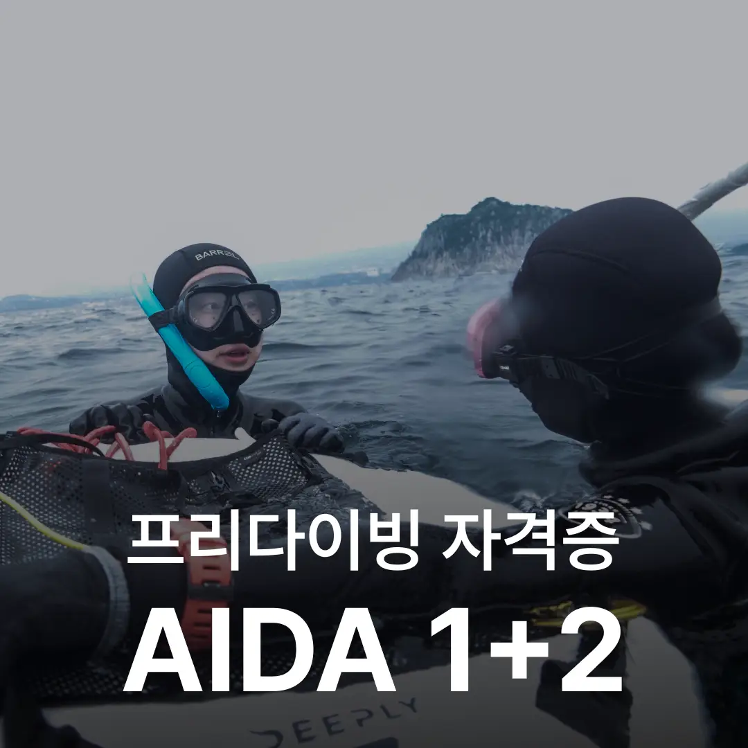 이미지 2