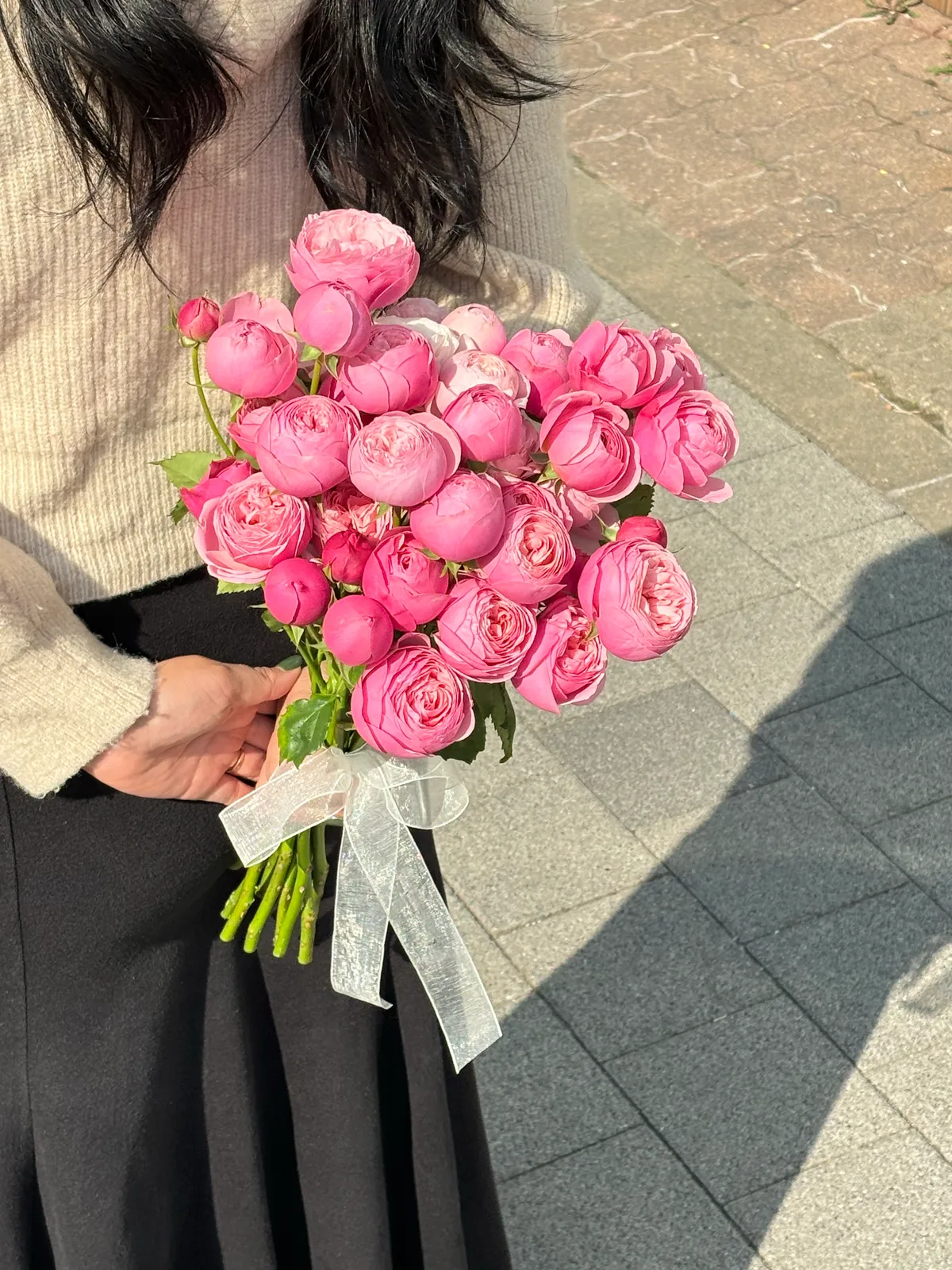 이미지 7