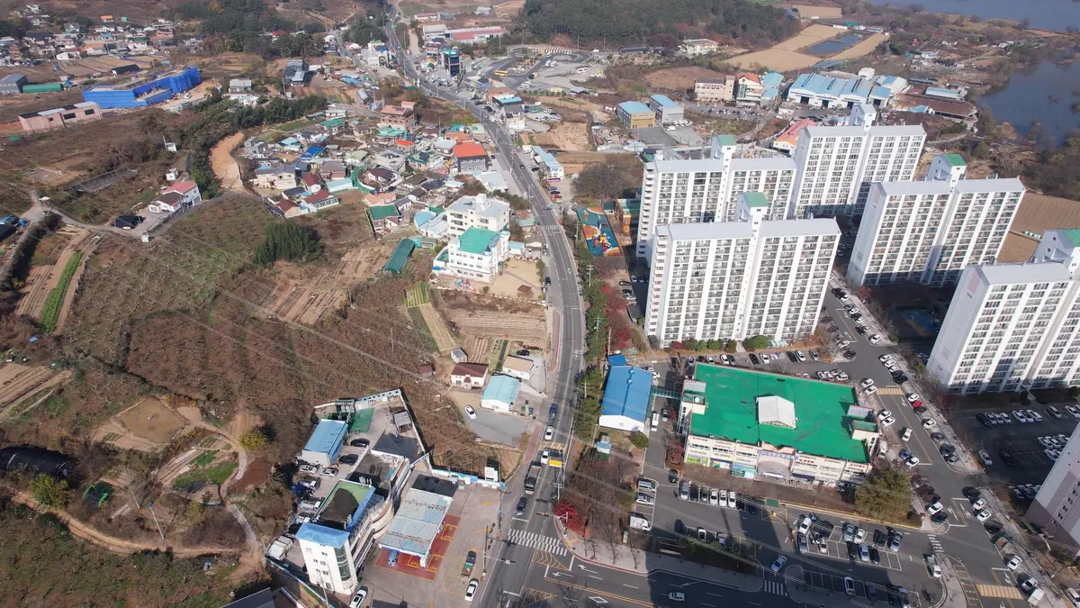 이미지 11