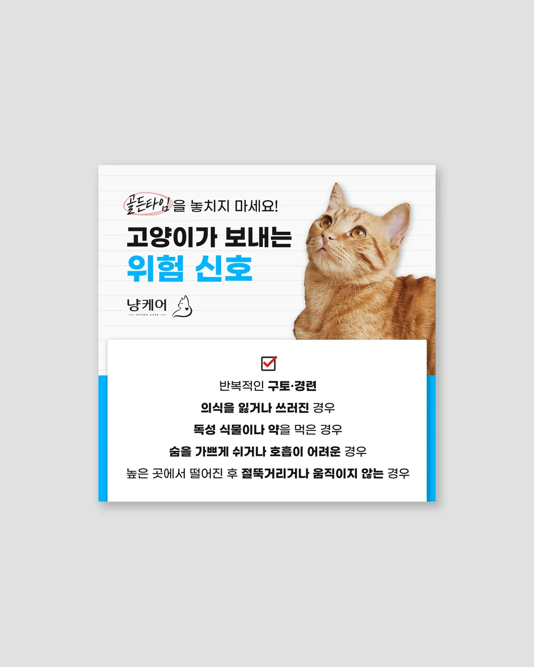 이미지 6