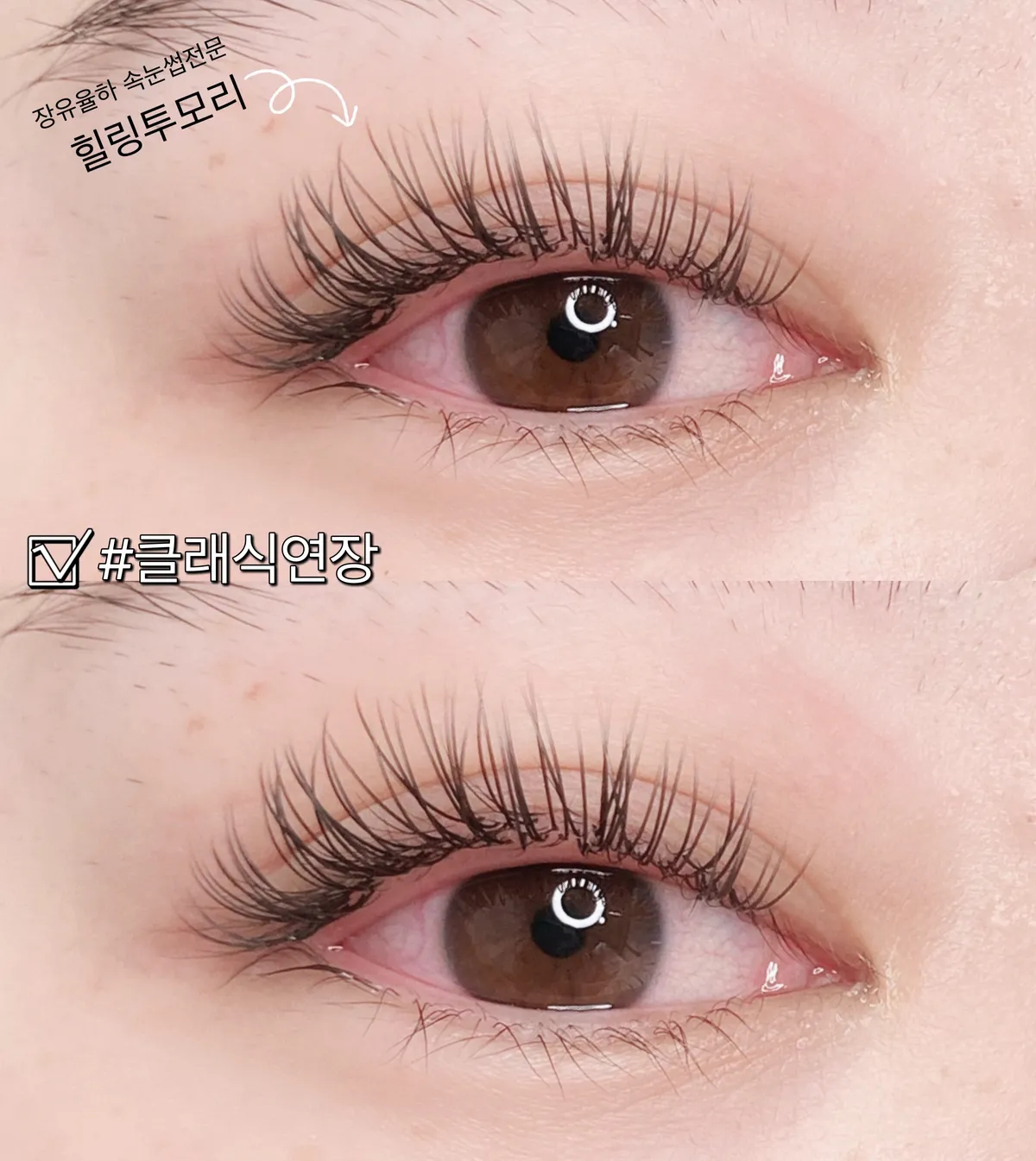 이미지 8