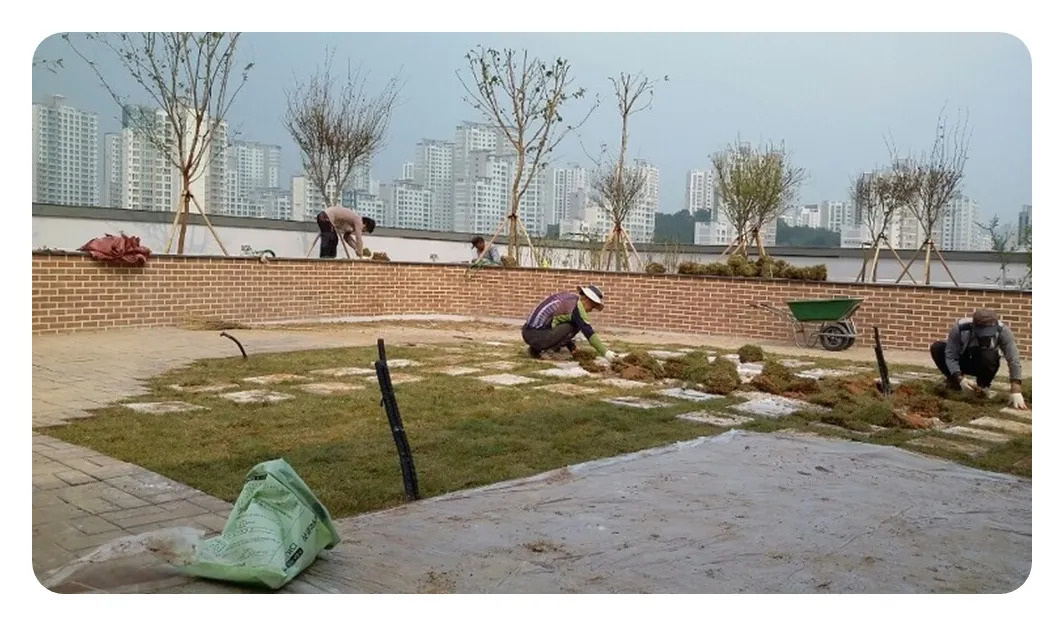 이미지 8