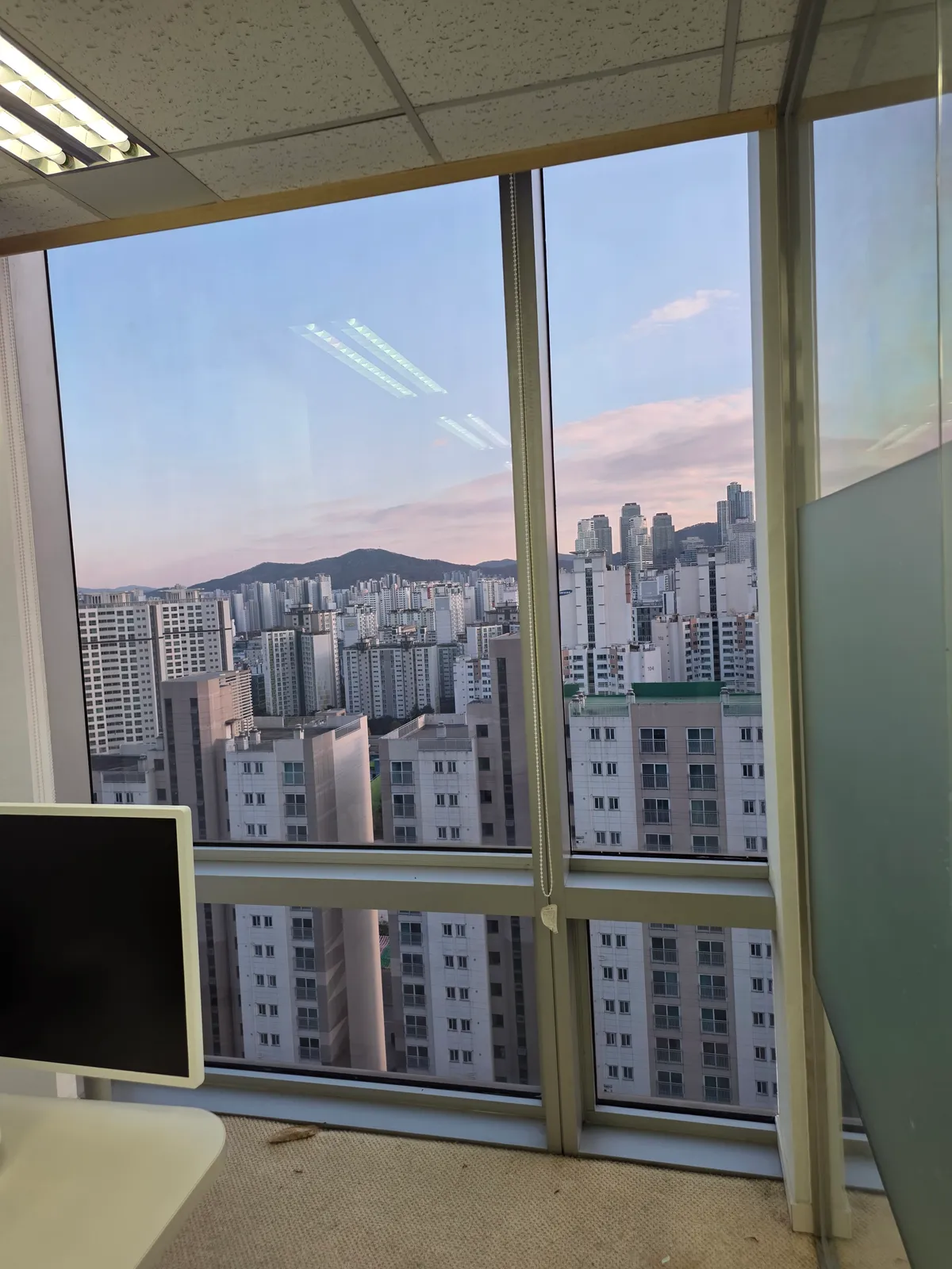 이미지 14