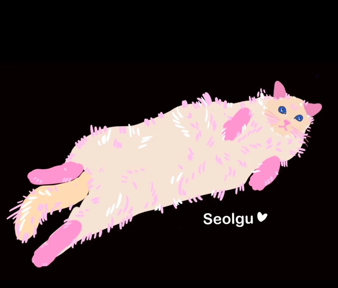 이미지 6