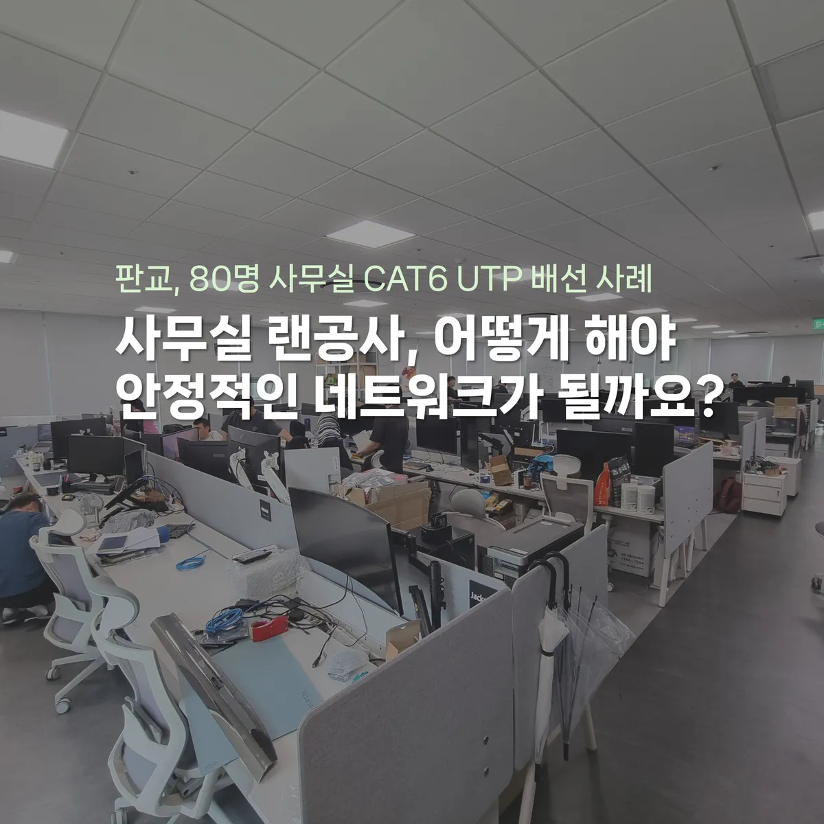 이미지 2