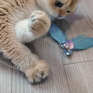 캣시터_영등포