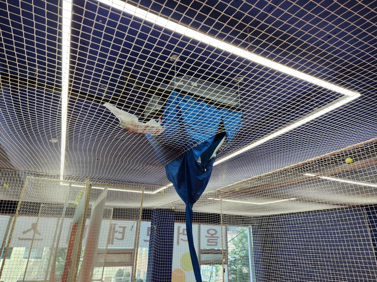 이미지 7