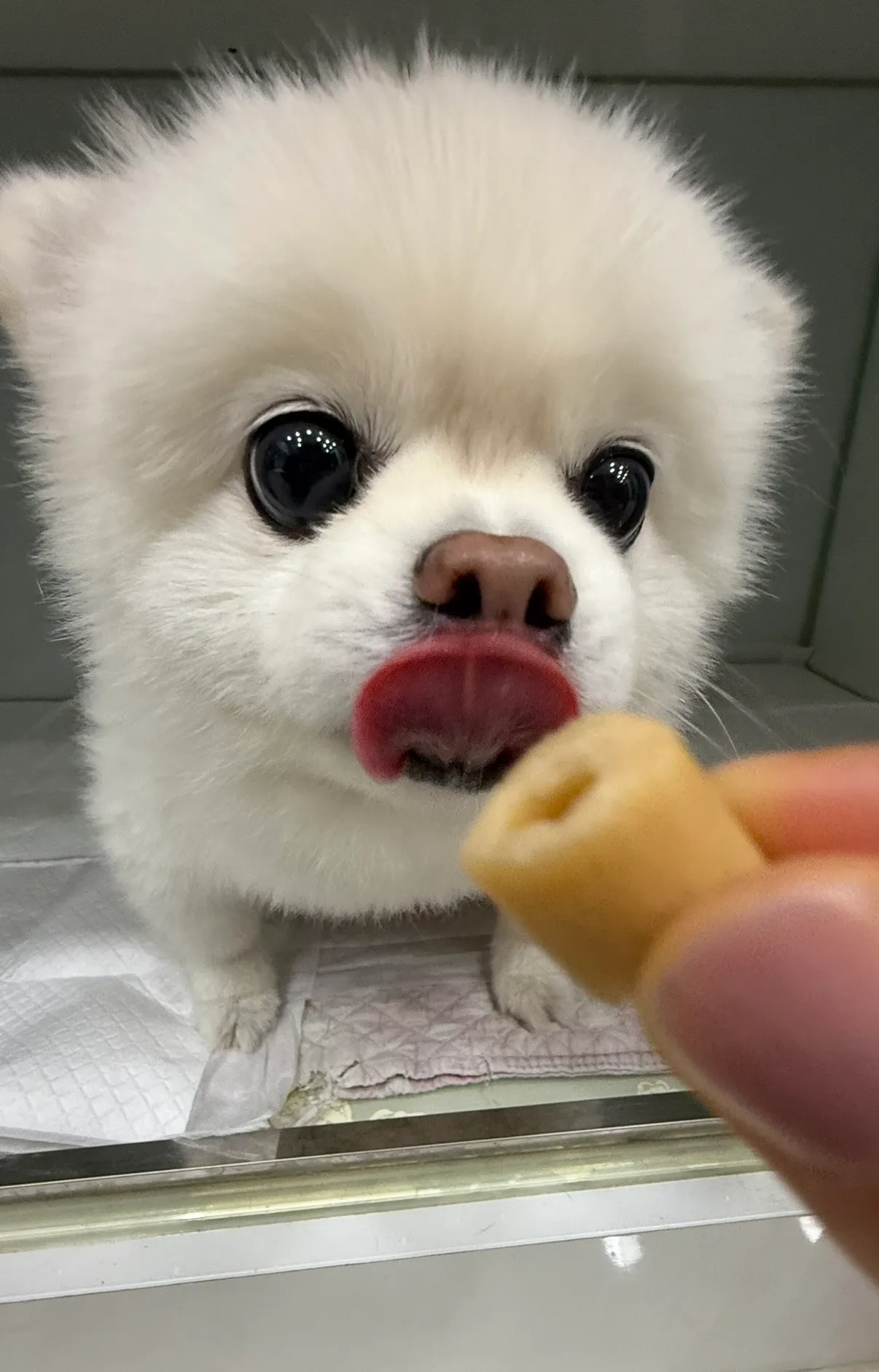 이미지 8