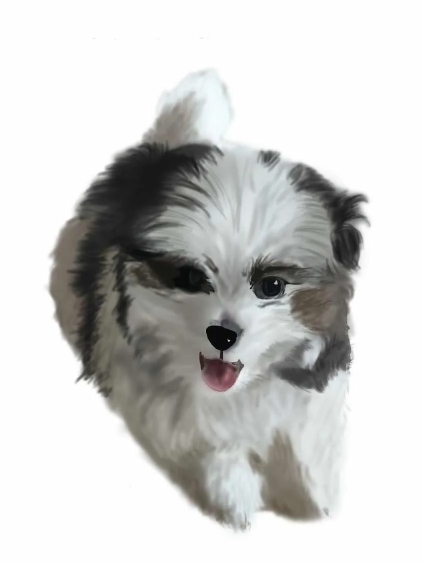 이미지 3