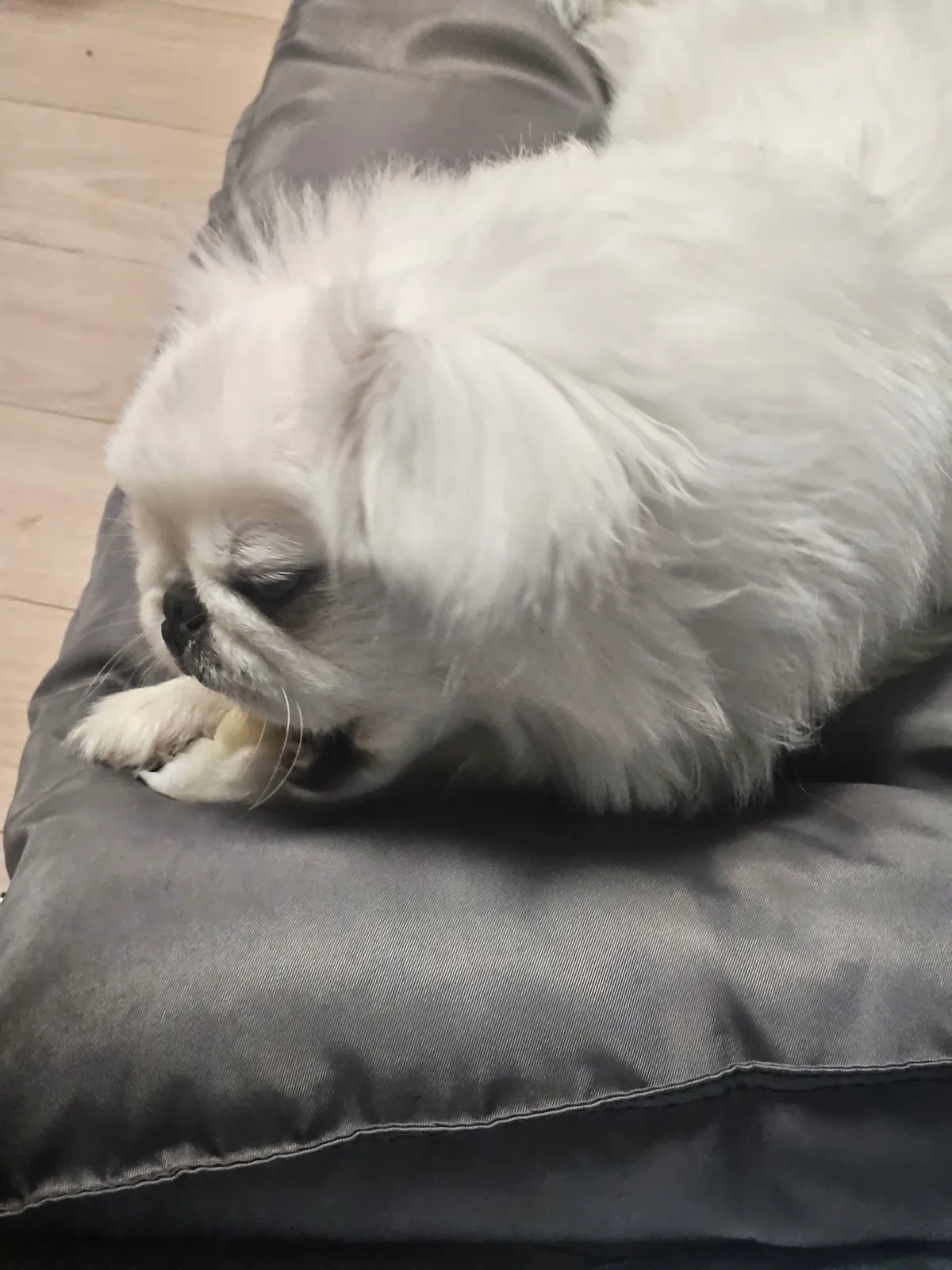 이미지 8