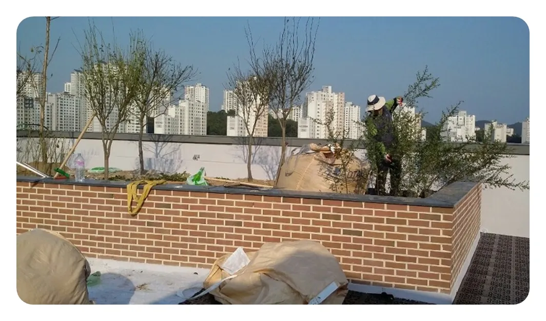 이미지 20