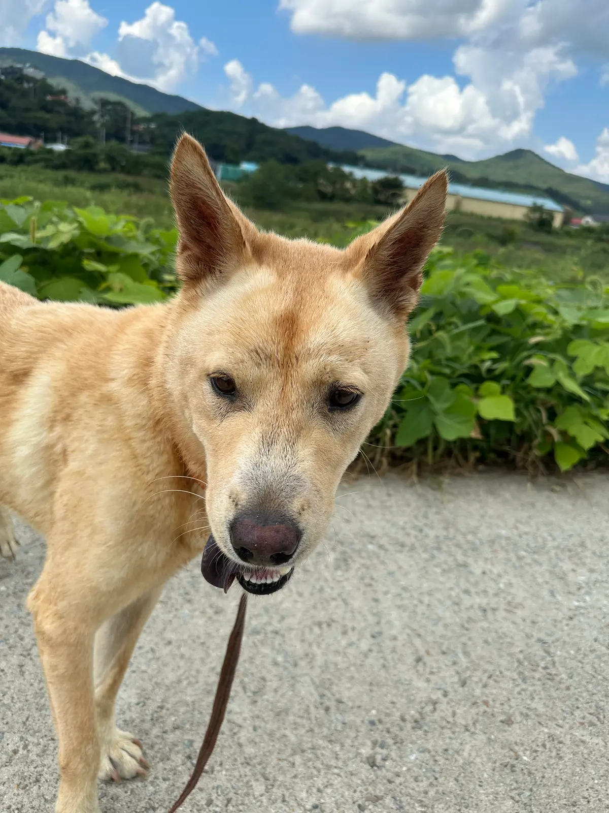 이미지 7