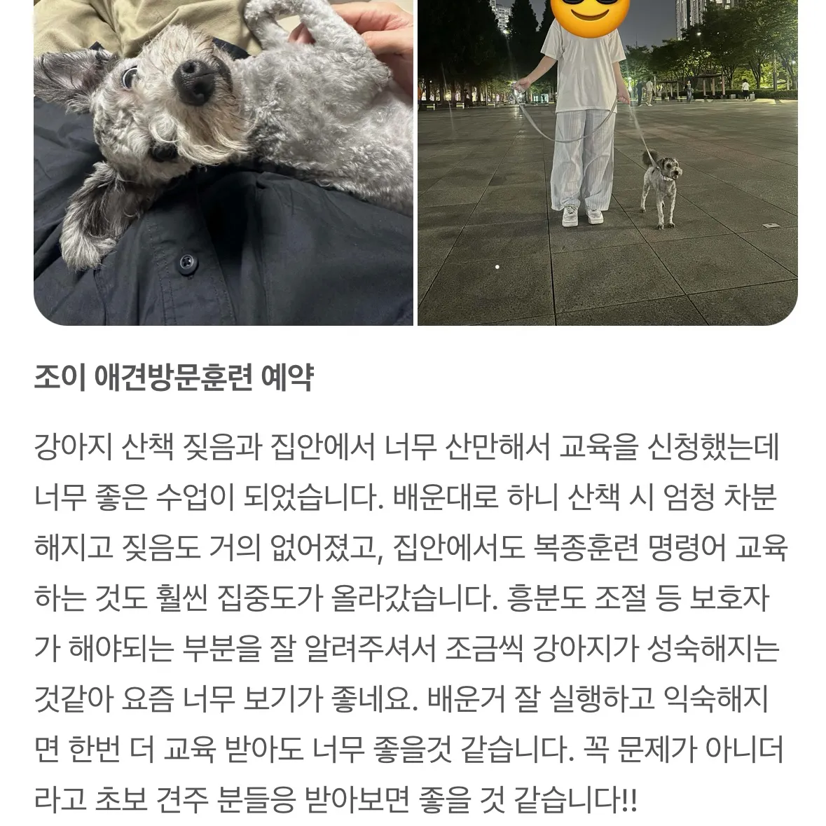 이미지 6