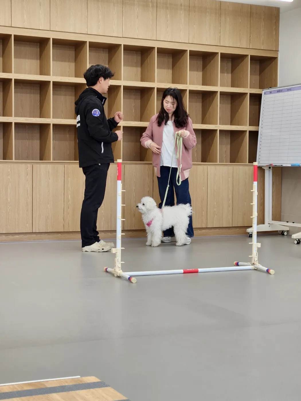 이미지 4
