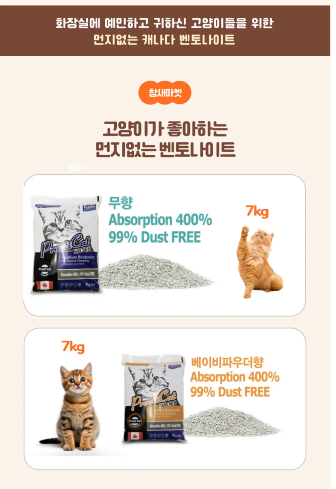 이미지 11