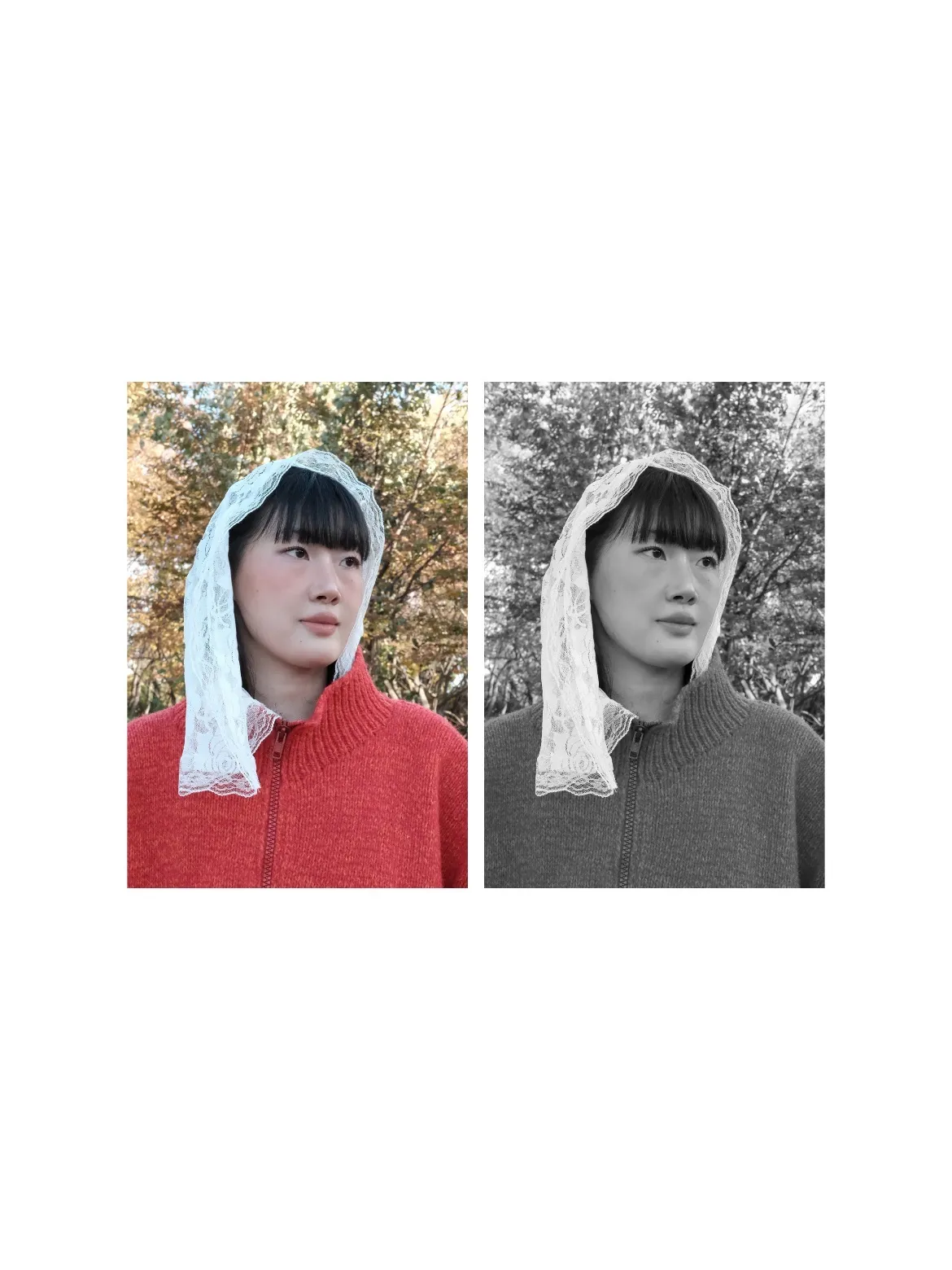 이미지 4