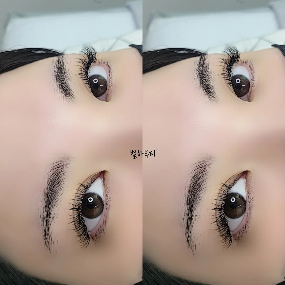 이미지 5